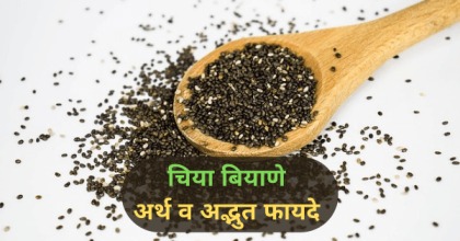 Chia Seeds in Marathi
